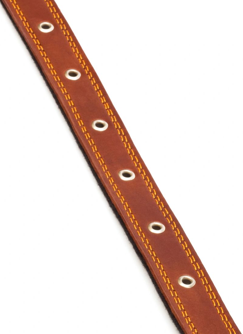 Signature Collars